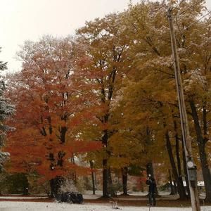 Meet your Posher, Shao ju